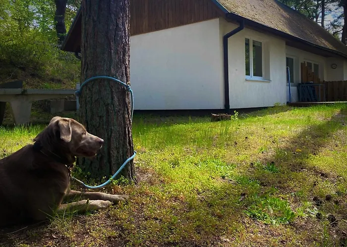 Ferienhaus Ferienglück Im Doppelhaus - 60 M Zum Haus 4